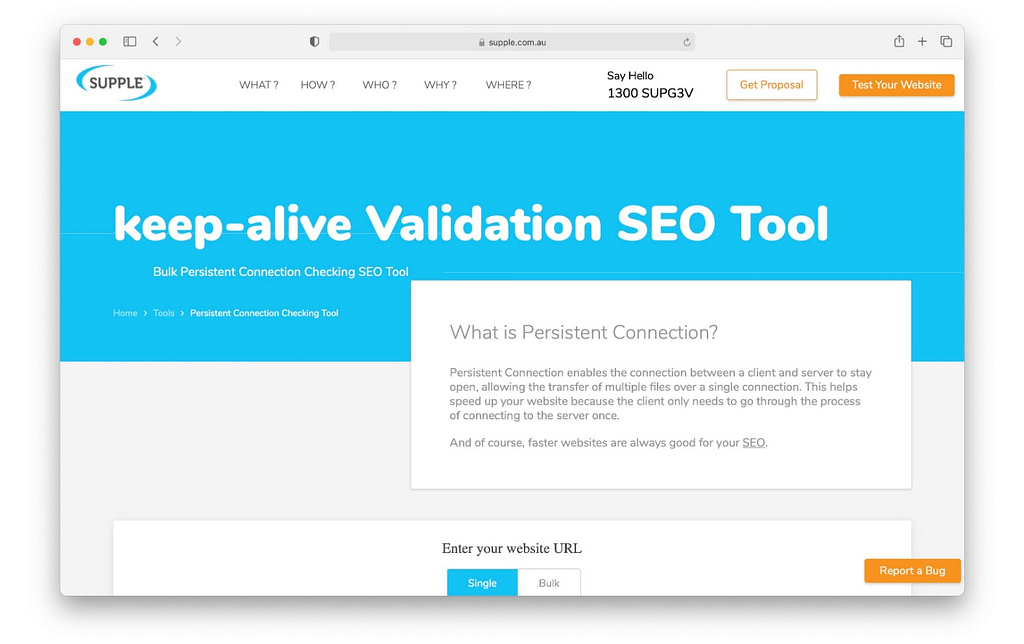 Keep-Alive validation SEO tool for technical SEO