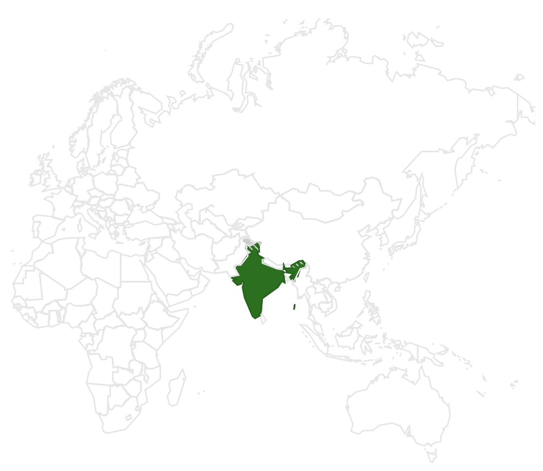  Meilleurs pays pour externaliser le développement de logiciels: #1 Inde 