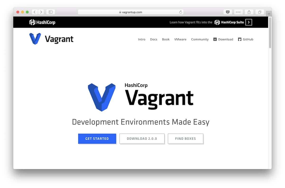 vagrant