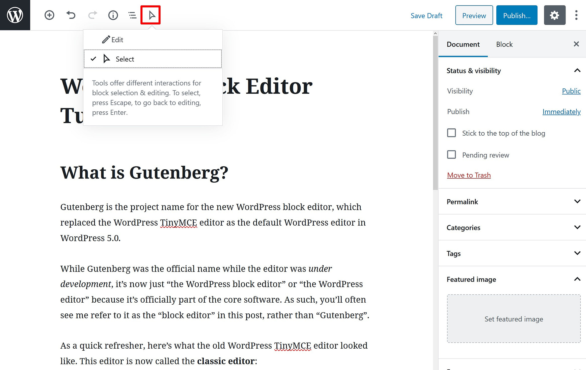 How To Use The WordPress Block Editor: A WordPress Gutenberg Guide