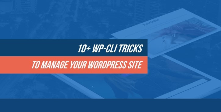 Wp Cli