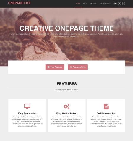 Best free WordPress themes #8: onepage lite