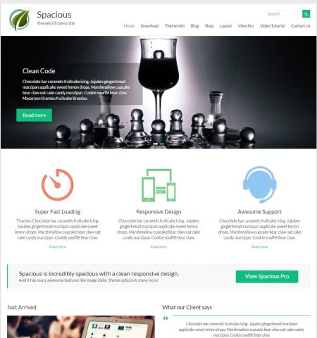 Best free WordPress themes: Spacious