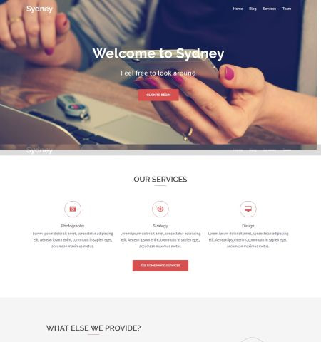 Best free WordPress themes #6: sydney