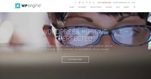 Program partnerski czyli jak zarabiać na blogu 24 WPEngine