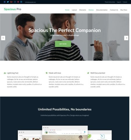 spacious-pro