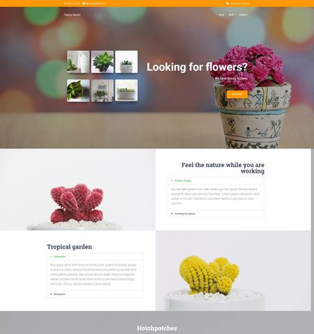 hestia woocommerce