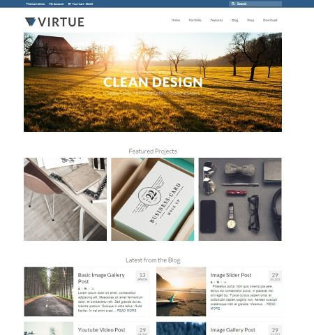 virtue