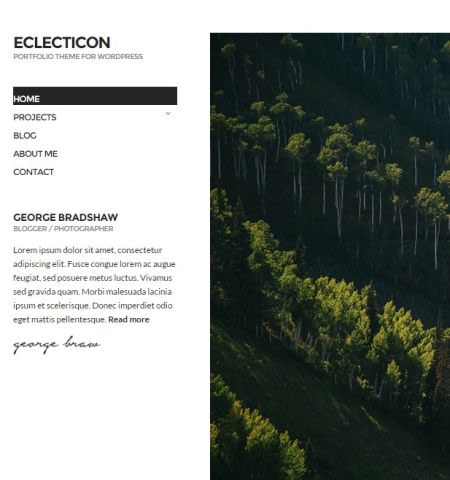 eclecticon