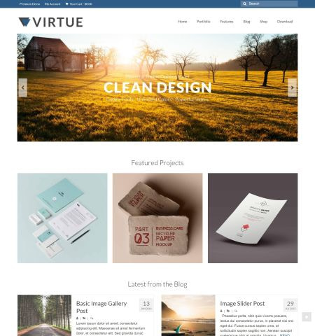 virtue