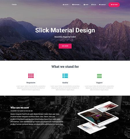Clean WordPress themes #1: Hestia Pro