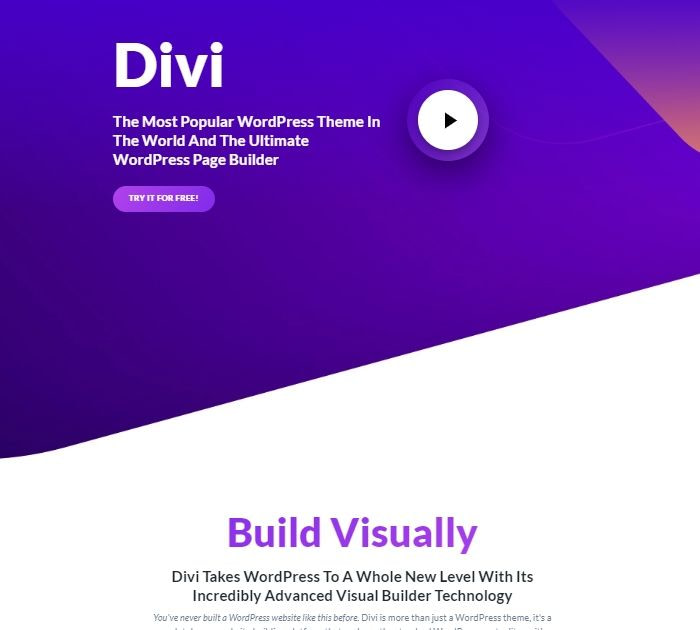 SEO friendly WordPress themes: Divi