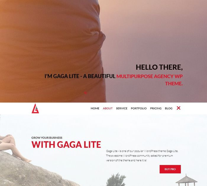 Gaga Lite