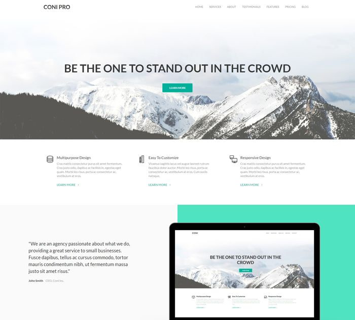 SEO friendly WordPress themes: Coni Pro