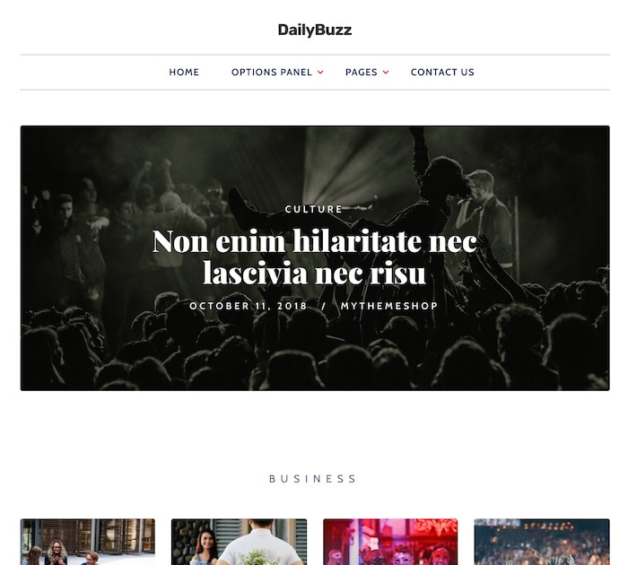 SEO friendly WordPress themes: dailybuzz