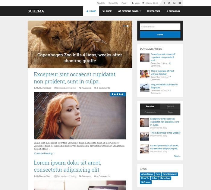 SEO friendly WordPress themes: Schema