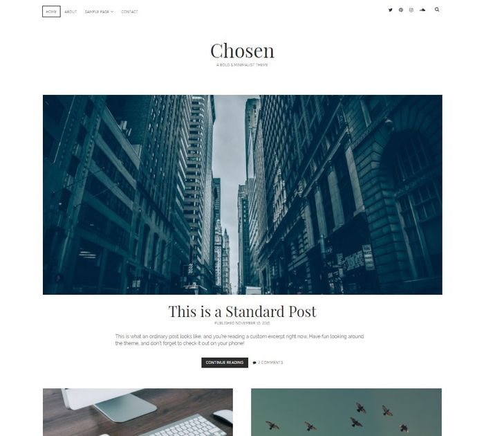 Best free WordPress themes for writers: Chosen
