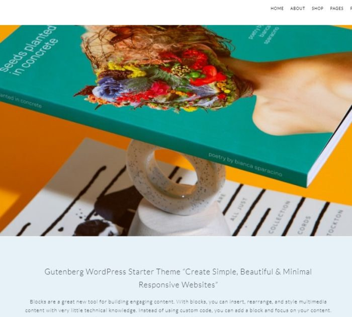 Gutenberg Starter Theme