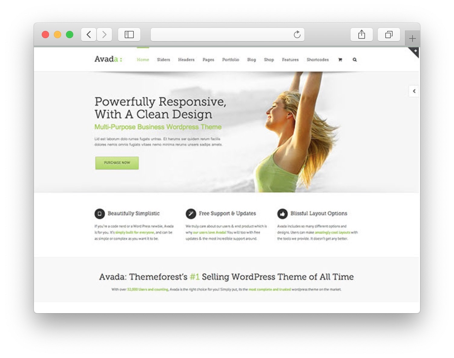 Theme Avada