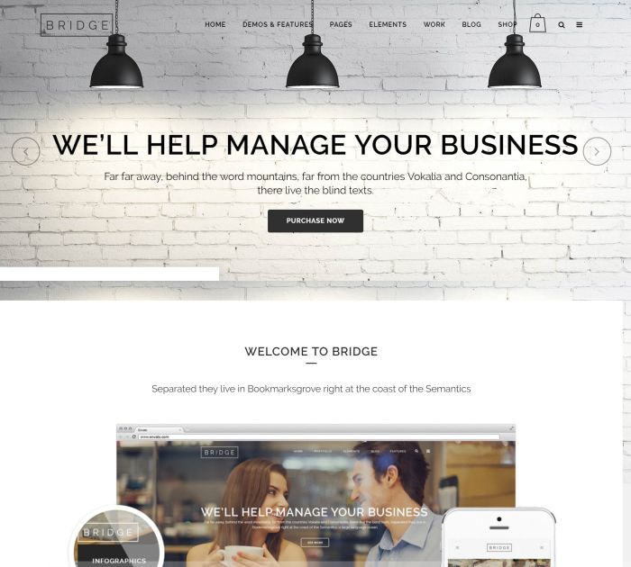Best WordPress themes: bridge