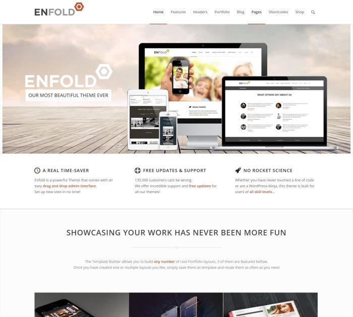 Best WordPress themes #10: enfold