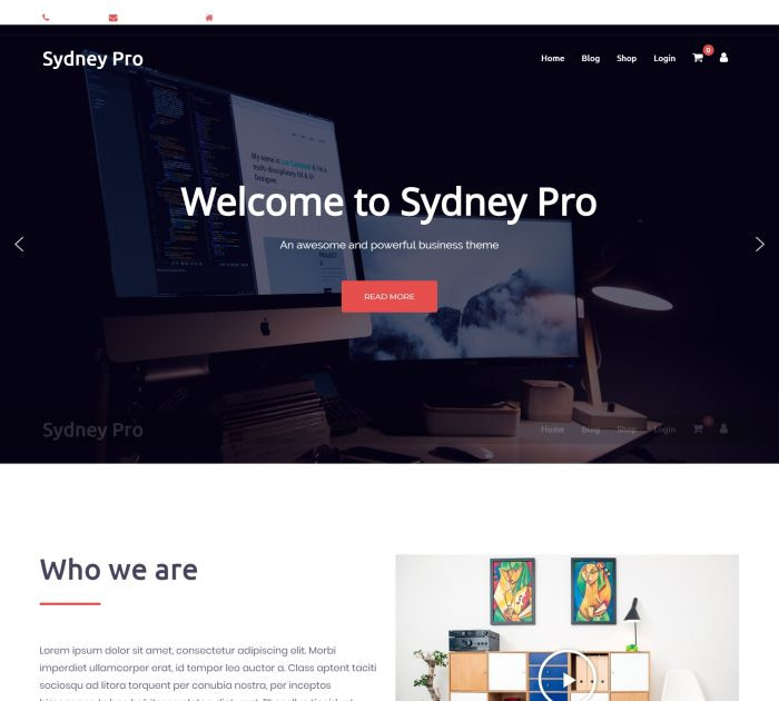 Best WordPress themes #4: sydney pro