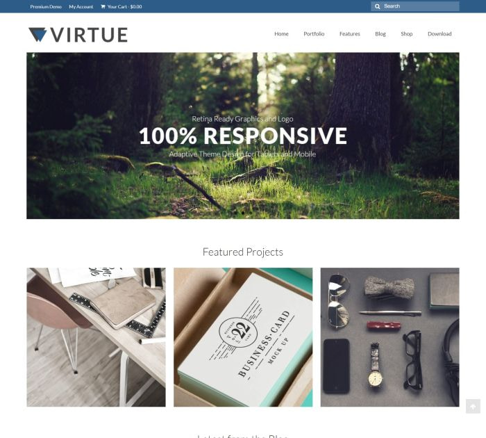 Virtue