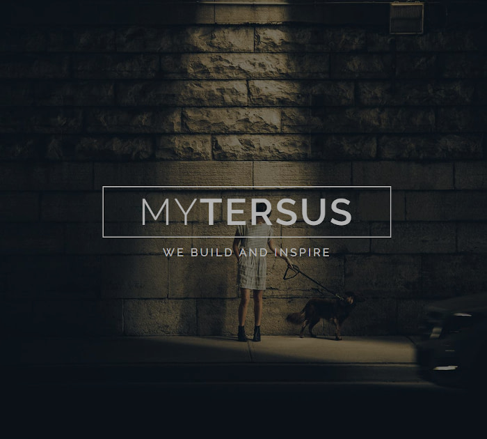 Best Adobe Muse Templates: Tersus