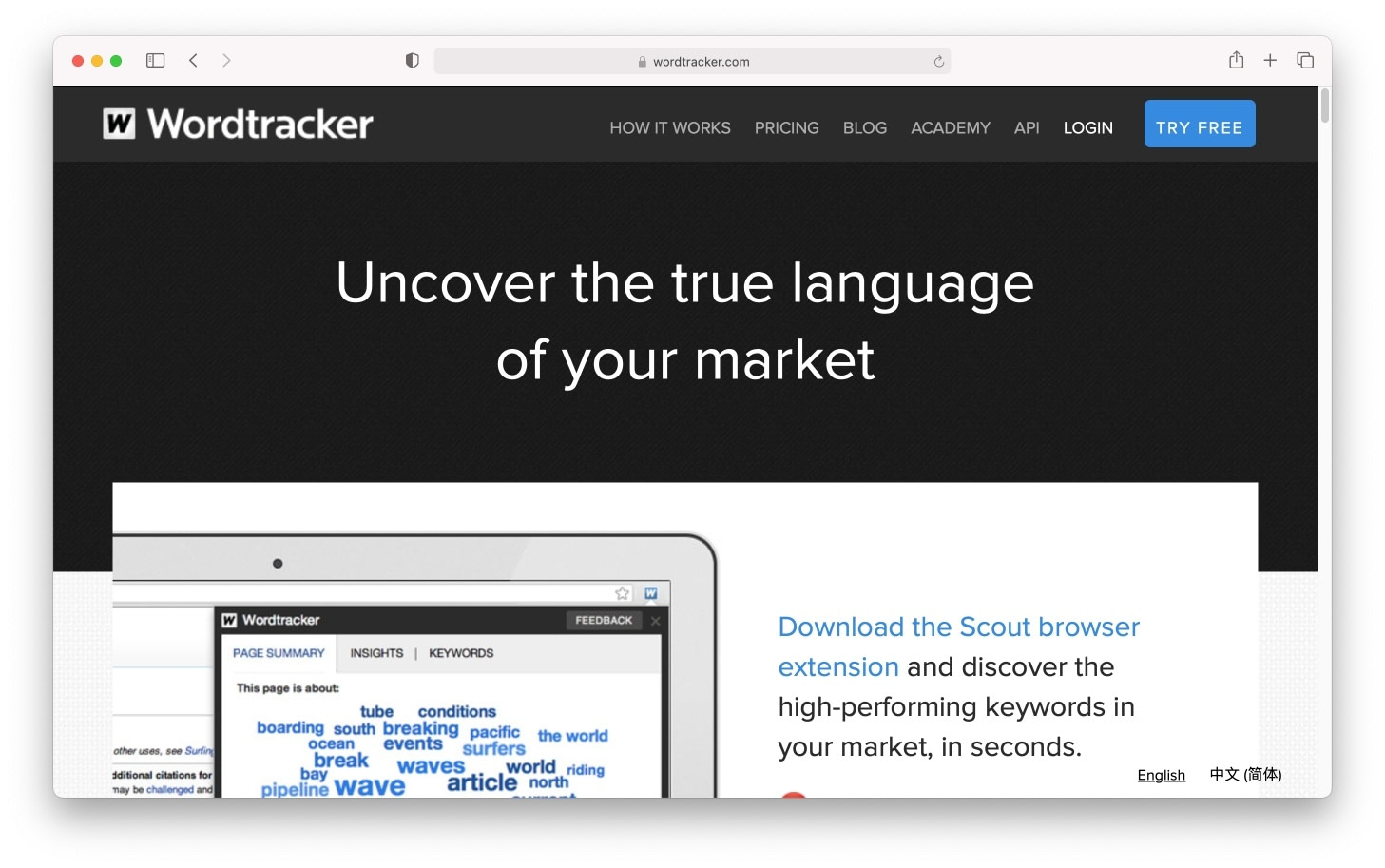 Wordtracker Scout