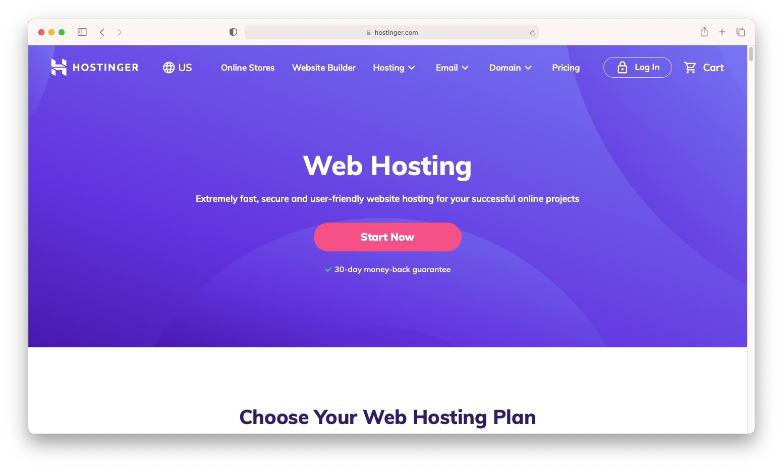 Hostinger web hosting