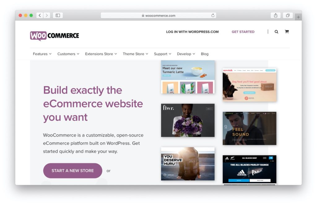 Best Shopify alternatives: WordPress and WooCommerce