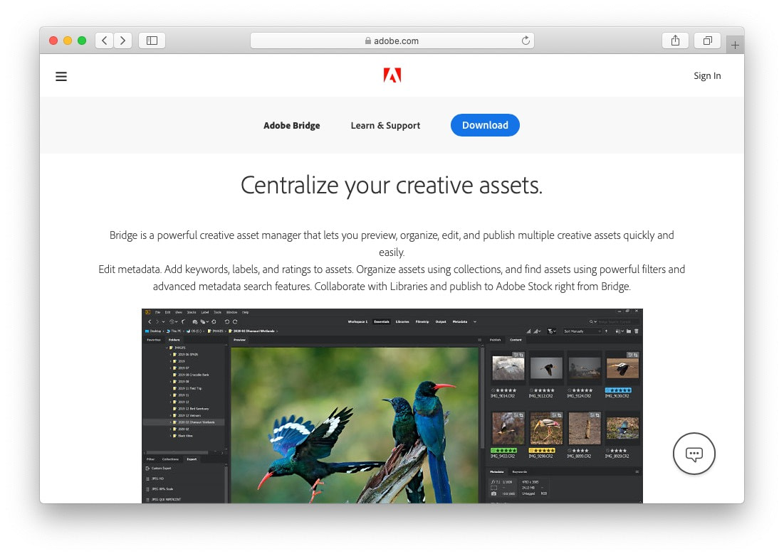Adobe Bridge