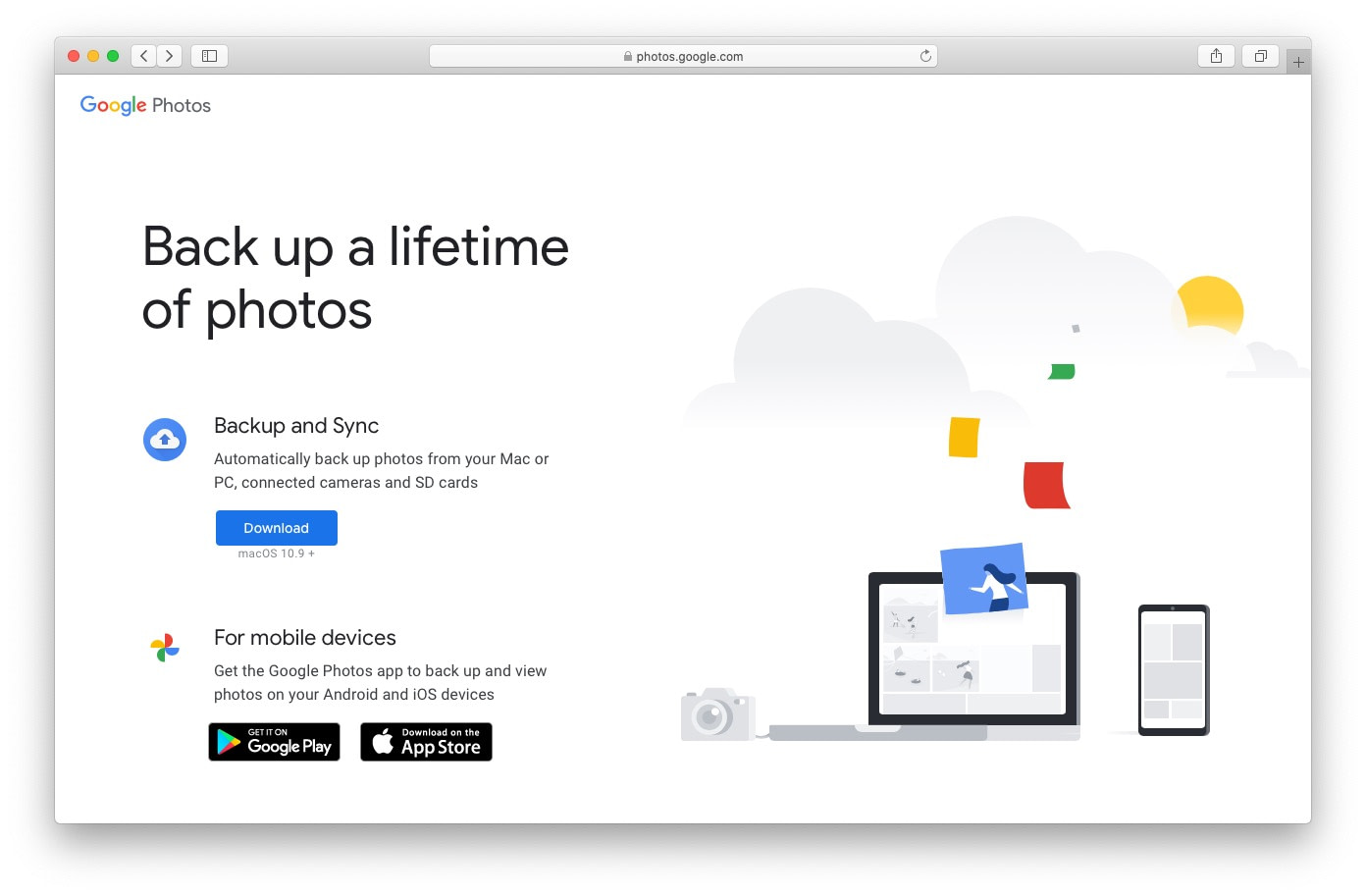 Google Photos image management software