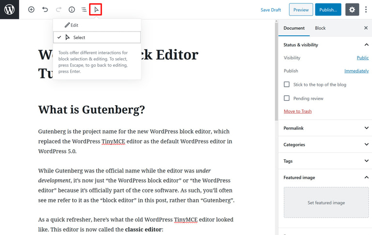 Gutenberg Wordpress Guide How To Use The Wordpress Block Editor - roblox best edm hard by tinmc