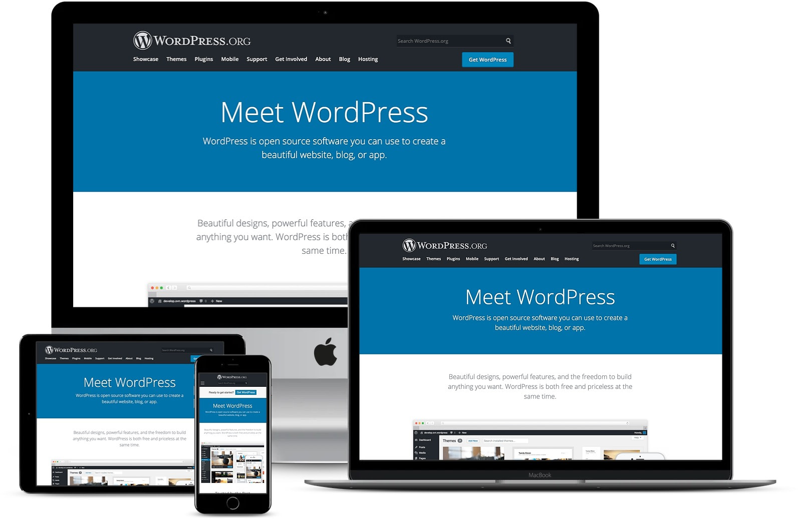 WordPress