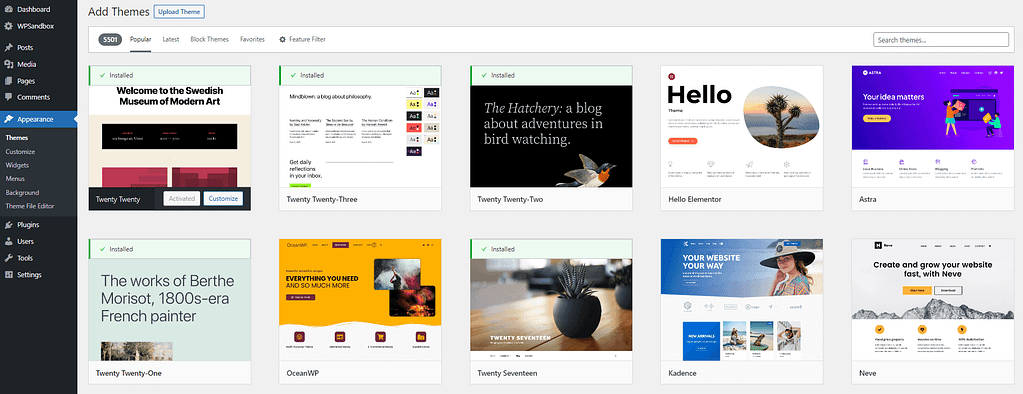 WordPress Themes Appearance.