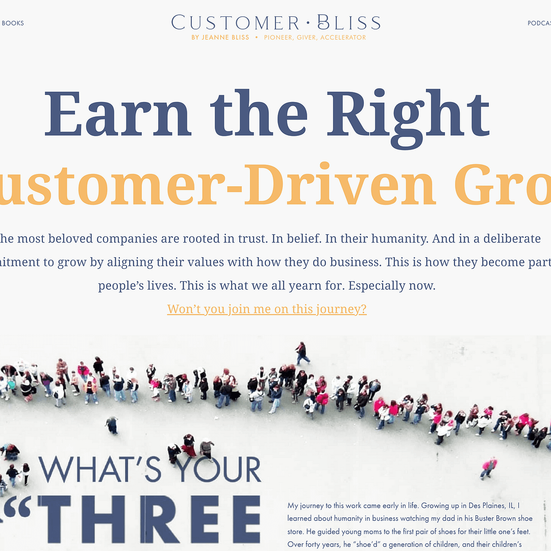Customer Bliss homepage.
