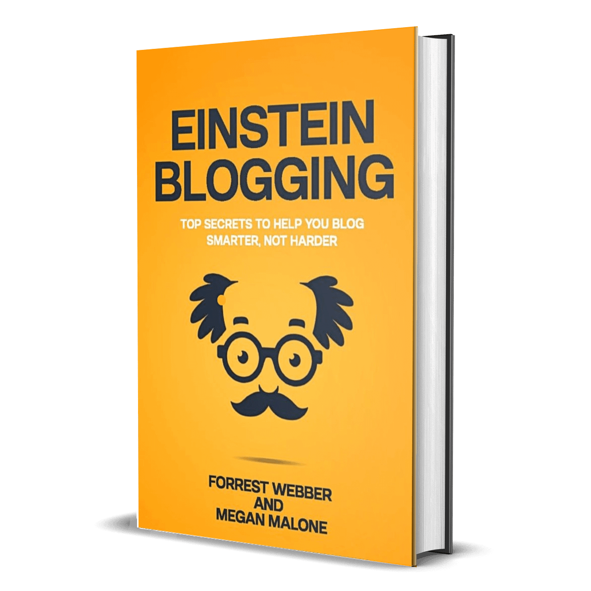 Einstein Blogging by Forrest Webber and Megan Malone is required reading for anyone who wants to transition their blog from a one-person show to a real blogging business.