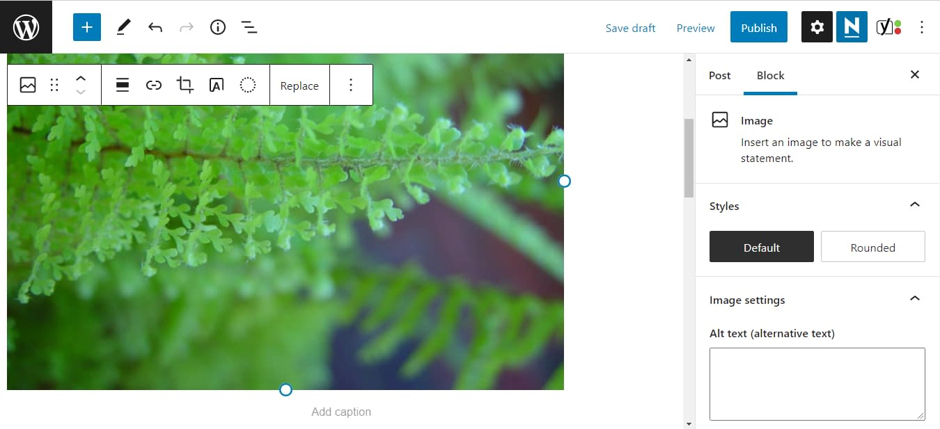 The image block inside of the WordPress Block Editor.