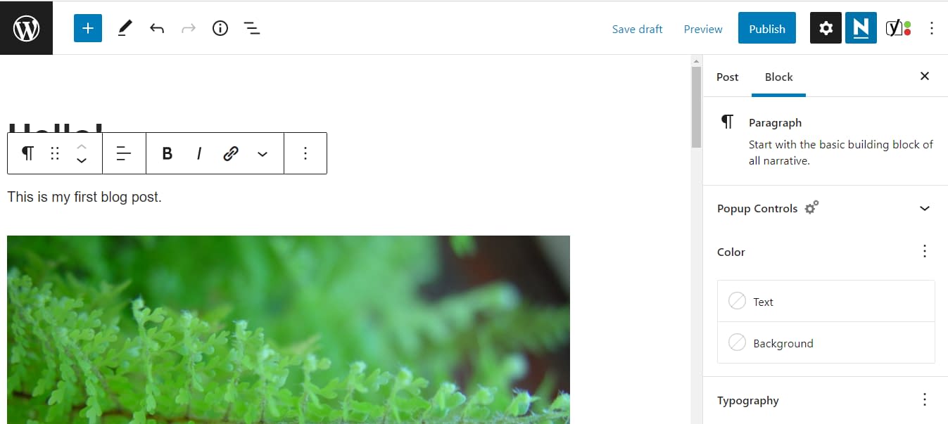 The paragraph block inside the WordPress Block Editor.
