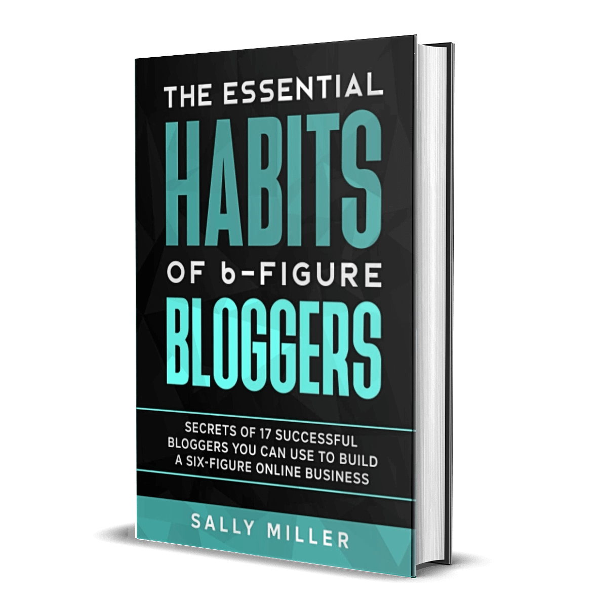 The Essential Habits Of 6-Figure Bloggers by Sally Miller is one of the best blogging books to learn from successful bloggers. 
