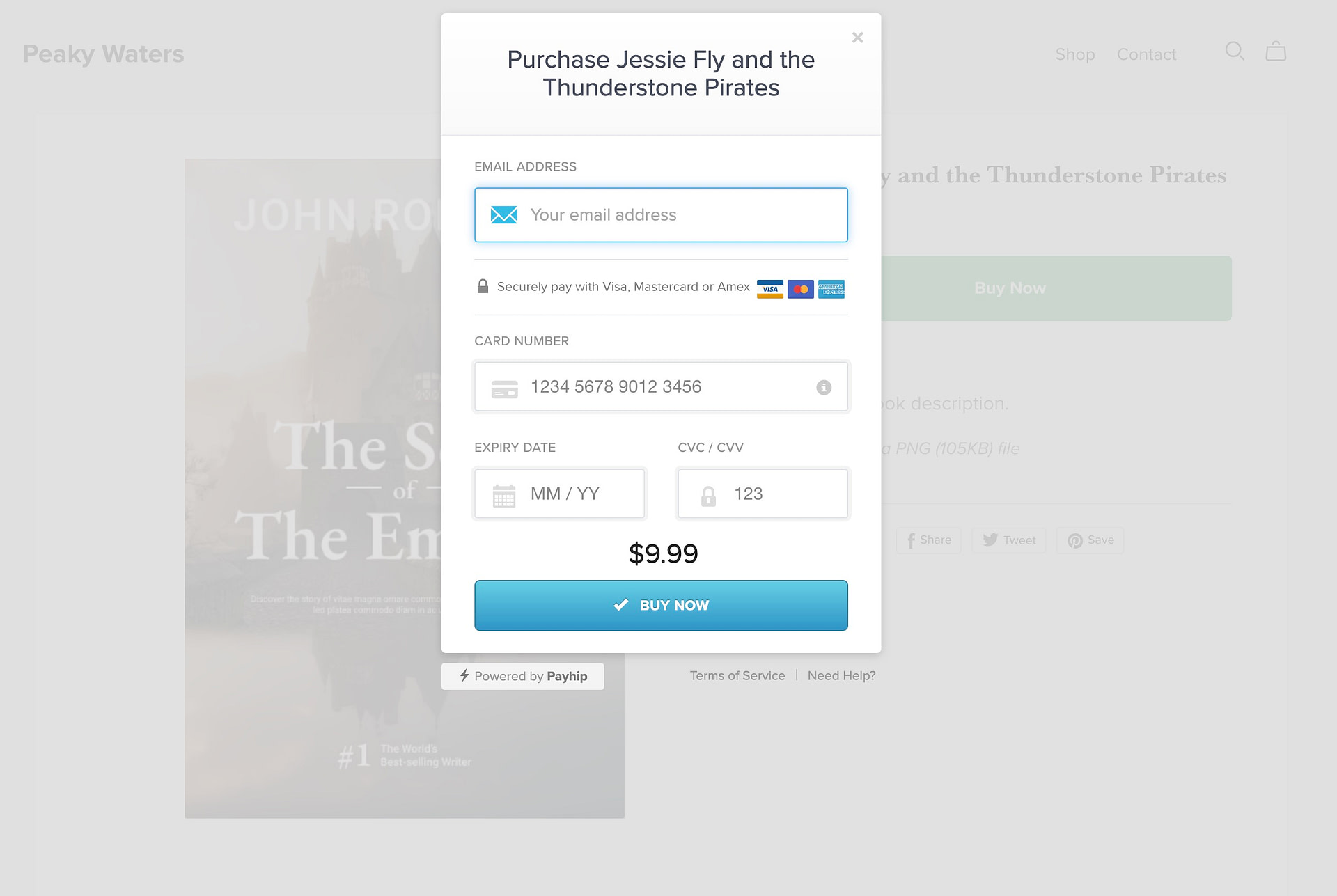 The checkout on your domain.