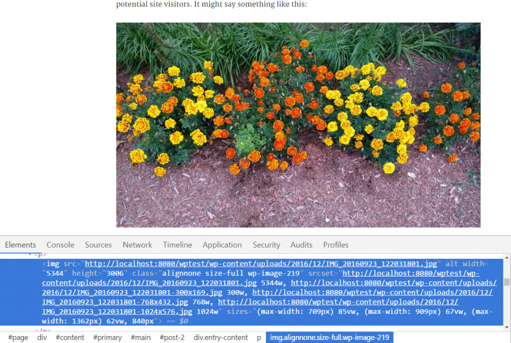 WordPress Custom Image Sizes How to Add and Use Them WPShout