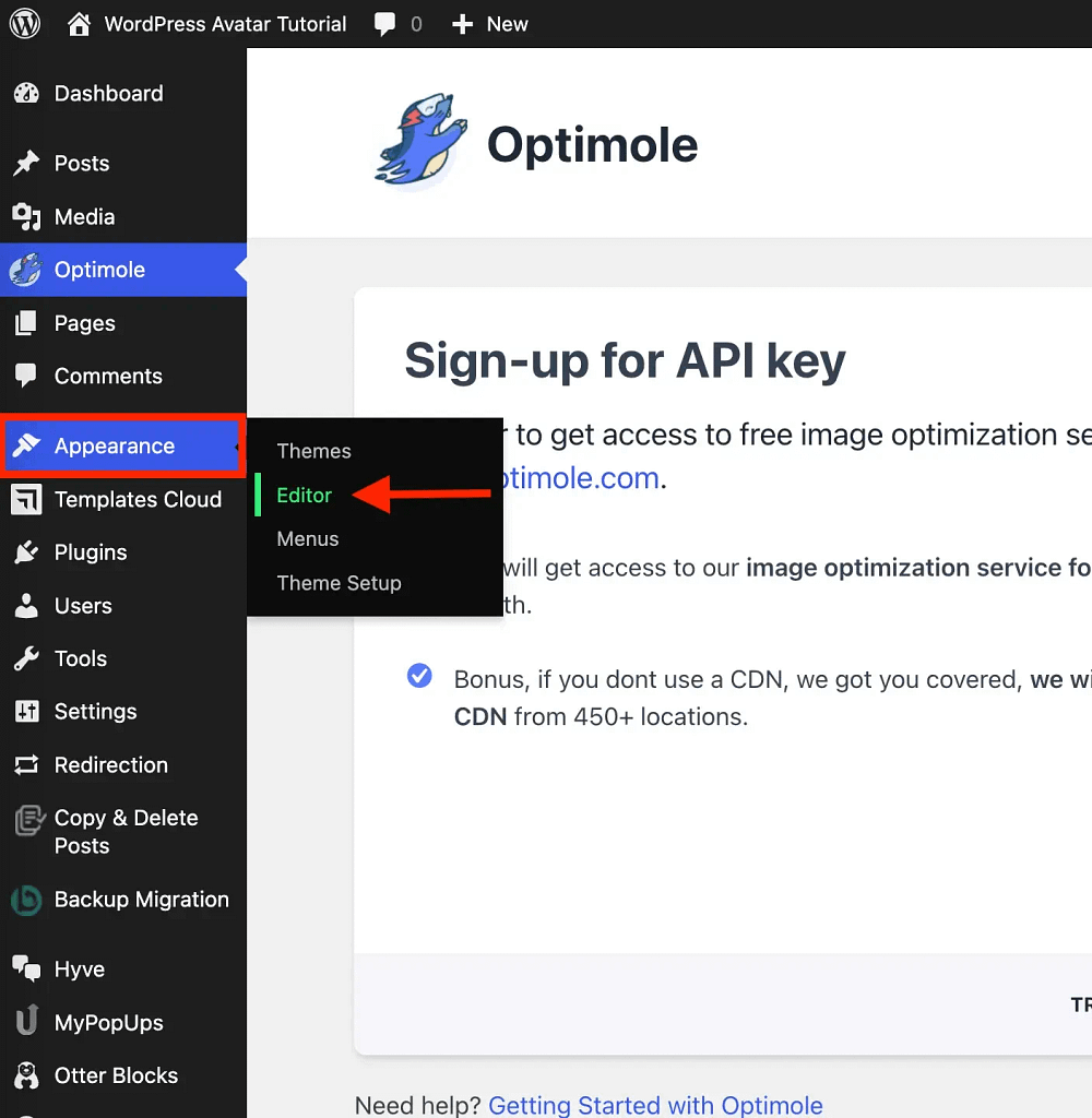 WordPress Profile Picture Without Gravatar (+ Add It to Posts) 4 Showing what a block theme looks like in the WordPress dashboard.