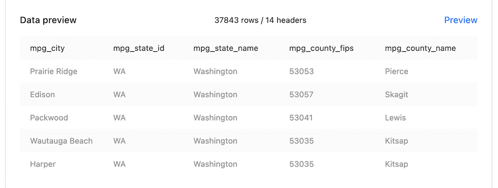 A preview of a generated dataset.