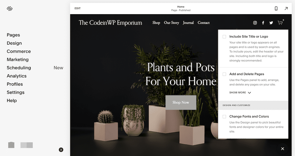 The Squarespace interface.