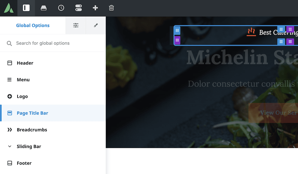 Avada's Global Options panel.
