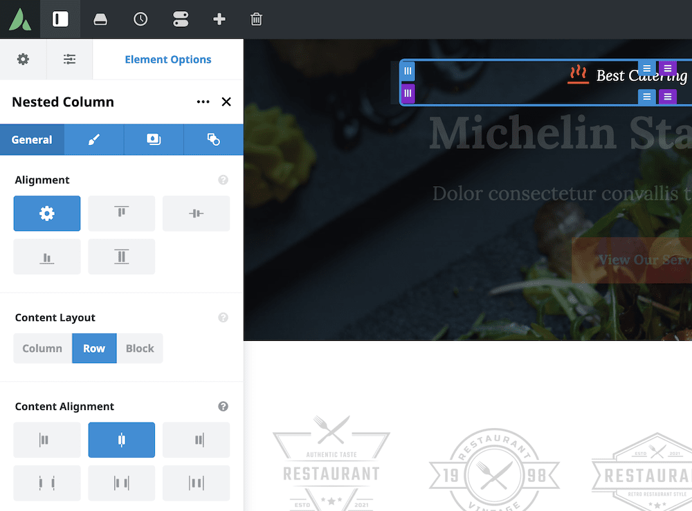 Avada's Element Options.