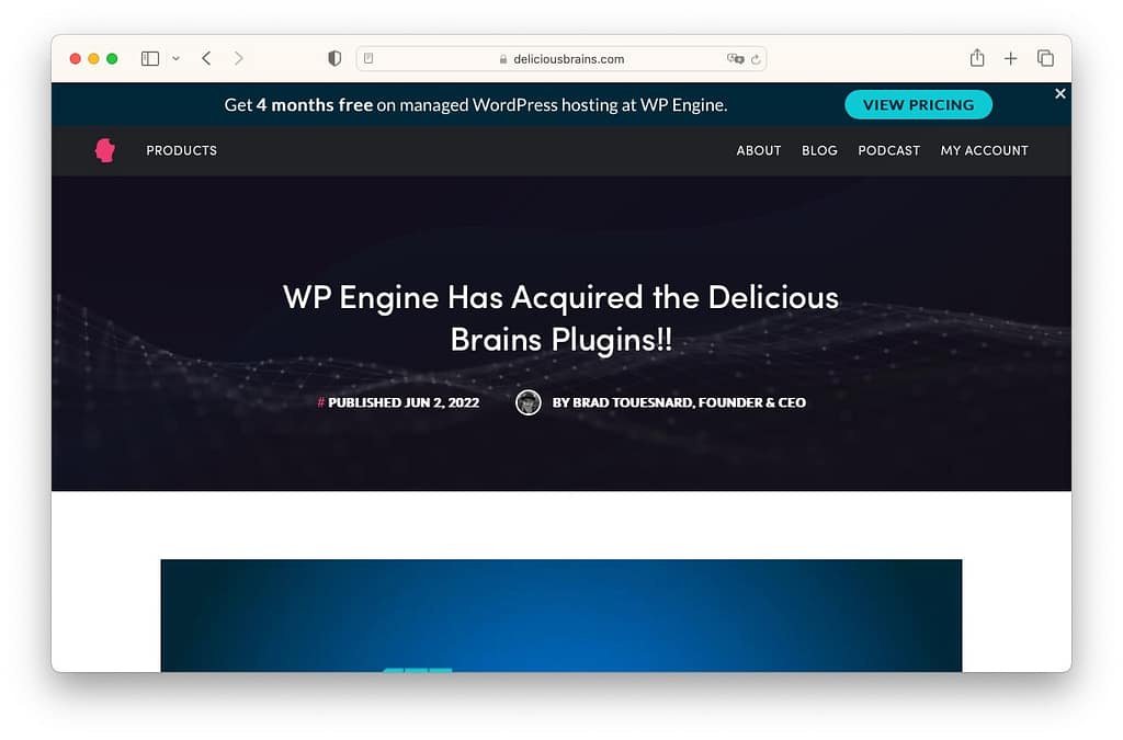 Best WordPress articles: Delicious Brains