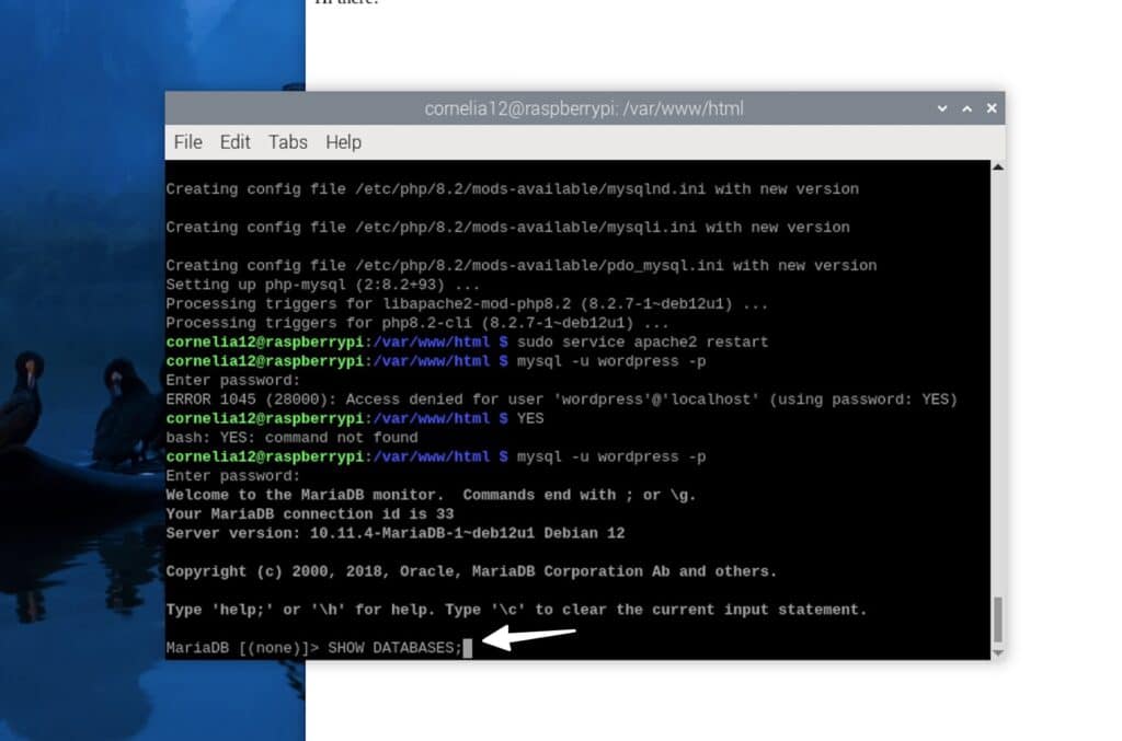 Show database command while we install WordPress on Raspberry Pi.
